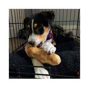 En Stock Bâton à Mâcher en Bois Durable Écologique pour Chien Saveur Os Doy Jouets à Mâcher pour Chiot - Product Image 1