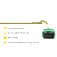 Kabel Patch Trunk IDEX High Performance SM MPO/MTP 2x12F APC 3.0mm LZSH Jacket Polaritas B 850/1300nm Garansi 2 Tahun Buatan Guangdong