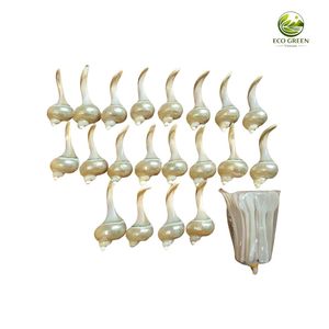 Eco-Friendly Natural Seashell <b>Chopstick</b> <b>Holder</b> Raw Sea Shell Cutlery Rest Stand for Table Decoration Home & Business Gift - Product Image 4