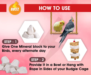 Calcio esencial de bloque de hueso de sepia Premium para mascotas saludables fabricado en Vietnam - Product Image 5