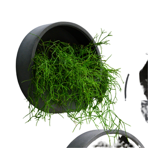 Support mural suspendu galvanisé plante planteur forme ronde plaque conception avec manteau de poudre noire pour la décoration intérieure avec fini rouille - Product Image 6