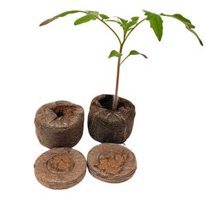 Pellets de Fibra de Coco Eco2Go - Cápsulas de Tierra Biodegradables de Fibra de Coco para la Germinación de Semillas y el Crecimiento de Plantas - Product Image 1