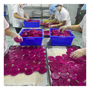 AD FRUIT DU DRAGON ROUGE SÉCHÉ DOUX, tranches de fruits du dragon séchées douces provenant de fruits du dragon frais tropicaux au Vietnam - Product Image 4