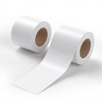 Rouleaux d'étiquettes thermiques sans support adhésif 3 1/8 X 170, rouleau de papier thermique continu de 80 mm, étiquettes thermiques adhésives amovibles sans support adhésif
