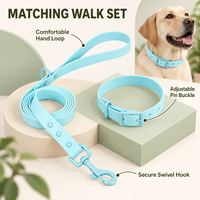 Ensemble collier et laisse pour chien imperméable et coloré, équipement de promenade souple et flexible pour animaux de compagnie, accessoires pour chiots avec logo personnalisé, fournisseur en gros