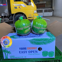 OEM de boisson d'eau de noix de coco fraîche biologique et vente en gros du Vietnam avec pulpe naturelle facile à boire-Caryln 0084935825297