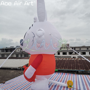 Usine directe lapin gonflable modèle dessin animé lapin mascotte <span class=keywords><strong>Alice</strong></span> <span class=keywords><strong>pays</strong></span> <span class=keywords><strong>des</strong></span> <span class=keywords><strong>merveilles</strong></span> fait Oxford matériel ventilateur accessoire extérieur - Product Image 6