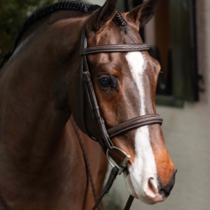 Brida Ecuestre de Lujo Internacional KGN, la Más Vendida, Personalizable, de Cuero, Cómoda y Duradera, Equipo de Carreras, Caballo Indio - Product Image 3