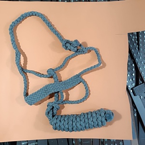 Licol et longe en cuir de vache à clous, travaillés à la main, équipement équestre, produits pour chevaux, logo personnalisé à prix avantageux - Product Image 4
