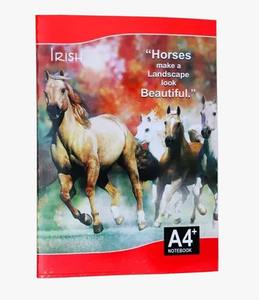 Hot Sale Irish Executive <b>A4</b> Register with Premium Hardcover and Smooth Paper for Office and Meetings Available for Best Price - Product Image 2