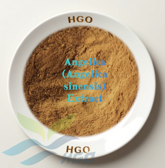 HGO Factory Direct Supply of Pure Natural Angelica (Angelica sinensis) Extract (Health food Grade) Specification 10:1