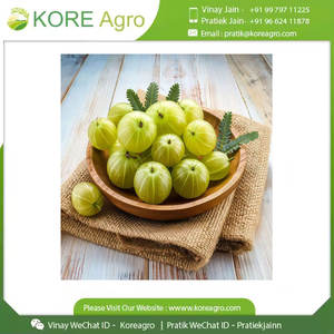 Poudre d'extrait sec d'Amla 100% organique et pur Extrait d'herbes de fruits entiers de qualité alimentaire extrait par solvant pour les acheteurs mondiaux - Product Image 4