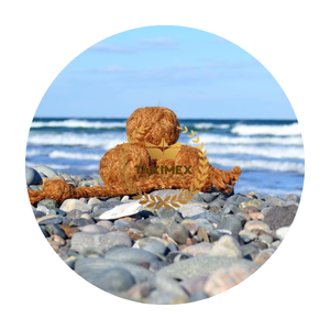 ของเล่นสุนัขสำหรับเคี้ยวเชือกฟันพลาสติกใน TPR จากโรงงานในเวียดนาม - Product Image 1