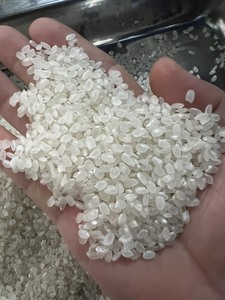 Basmati Japonica seca de calidad superior a la mejor elección, arroz Riz de estilo largo, textura suave, grandes cantidades, Vietnam Contacto MS. IRIS - Product Image 2