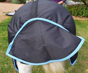 Mini tapis de participation pour chevaux avec logo personnalisé OEM équipement équestre d'hiver fabriqué à la main à Kanpur en Inde - Product Image 6