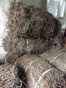 หญ้าเยลลี่สีดำแบบมาตรฐานส่งออกราคาถูกจากเวียดนาม - Product Image 5