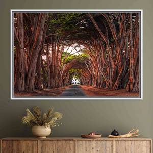 Toile imprimée : Art du tunnel de cyprès, vue sur la côte californienne, TOILE ENCADRÉE BLANCHE - Product Image 1
