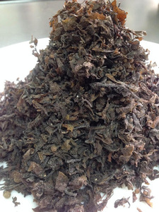 Algas Marinas Naturales Secas de Sargazo para Suplementos Animales y Producción de Biofertilizantes para Exportación - Product Image 6