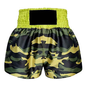 Pantalones Cortos de Muay Thai Fairtex 2024, Producto Más Vendido en Ropa de Artes Marciales - Product Image 6