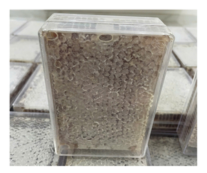 เค้กน้ำผึ้งแบบหลายดอกผึ้งดิบคุณภาพสูงส่งออกจำนวนมากราคาไม่แพง - Product Image 2