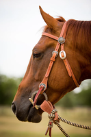 Bridon Anatomique en Cuir Anglais Premium pour Cheval - Design Personnalisable, Option Logo Personnalisé, Qualité Équestre Supérieure 100% Contrôlée