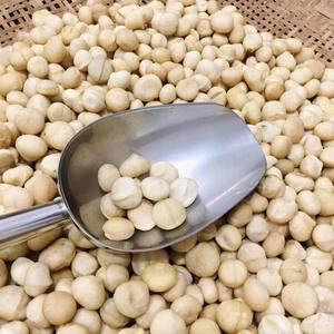 Offre Spéciale noix de macadamia de haute qualité à vendre - Product Image 1