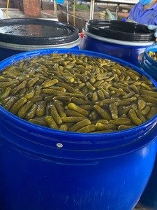 Concombre mariné de qualité supérieure du Vietnam, texture croquante, saveur équilibrée, vente en gros, export, approvisionnement stable en usine pour les acheteurs mondiaux - Product Image 2