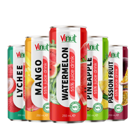 100% Vers Puur Fruit 250ml Geblikte Fruchtdrank: Mango, Passievrucht, Ananas, Lychee, Watermeloen - OEM ODM Private Label