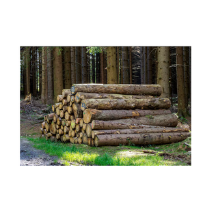 Bûches rondes en bois d'épicéa pour clôtures-Extérieur, durabilité et résistance - Product Image 6
