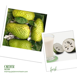 Kim Minh International Sugar-Free Frozen Soursop/Guanabana Puree in Bulk Packaging Vietnam's <b>Fruit</b> & <b>Vegetable</b> <b>Juice</b> - Product Image 3