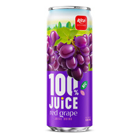 Jus d'orange Rita Original 320ml – Purée rafraîchissante et hydratante, jus d'orange pressé à froid, 30% de pureté, saveur fruitée, emballage bouteille