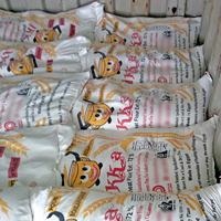 Farine de blé IKKA Premium 50kg Biologique Égyptienne Chakki Maida 00 Haute teneur en gluten Grade A 99% de finesse Faible MOQ Exportation mondiale en sac