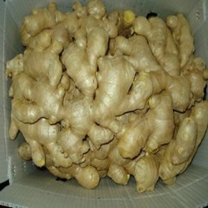 Proveedor de Verduras Frescas de China, Jengibre Seco al Aire de Alta Calidad, Precio al por Mayor, 100g 150g 200g 250g, Jengibre en Venta - Product Image 1
