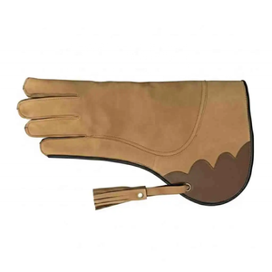 Guantes de Cetrería de Alta Calidad con Logotipo Personalizado, de Cuero Premium, para el Manejo de Halcón, Águila y Aves, Equipo de Caza al Aire Libre - Product Image 1