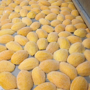 Deliciosos Trozos y Mitades de Mango Congelado IQF - Orgánico a Granel - Product Image 2
