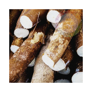 Tranches de tapioca surgelées de haute qualité-idéales pour la cuisine, la pâtisserie et les collations | Disponible en vrac - Product Image 4