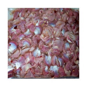 Gésiers de poulet congelés à vendre - Vente en gros d'offal de poulet de qualité supérieure - Product Image 1