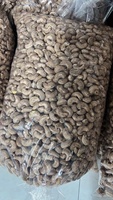 Noix de cajou vietnamiennes W180 prêtes à l'exportation, noix de cajou grillées de qualité supérieure, nourriture instantanée, meilleure qualité, angle