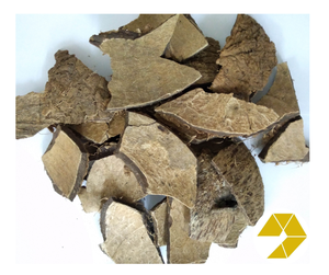 Coquille de noix de coco crue de qualité supérieure idéale pour l'approvisionnement en vrac de charbon de bois et d'artisanat au meilleur prix prêt à exporter produit chaud à vendre - Product Image 4