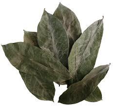 CORTES DE TÉ DE HOJAS TROPICALES/HOJAS DE SOURSOPA/SECADO LIMPIAMENTE/SELECCIÓN BOTÁNICA - Product Image 6