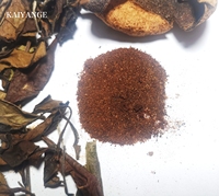 KAIYANGE Poudre de thé blanc à la peau de mandarine personnalisée, lyophilisée, soluble, naturelle, OEM, à base de plantes, Kombucha, thé noir instantané en poudre