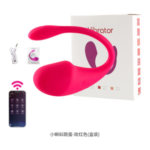 Vibrateur portable télécommandé pour femmes, jouet pour adultes contrôlé par application sans fil - Product Image 1
