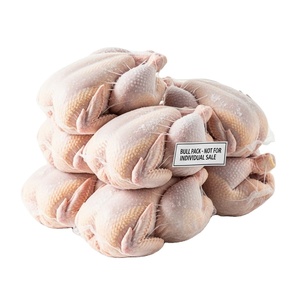 Proveedor de confianza que ofrece pollo entero congelado con calidad constante empaquetado en bolsas de plástico y cartones para envío internacional - Product Image 1