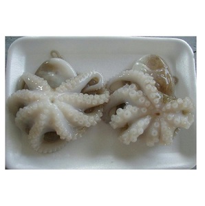 Venta Caliente de Pulpo Fresco Congelado de Todos los Tamaños - Product Image 1