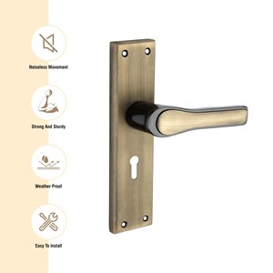 100% prix usine haute qualité diverses couleurs poignée sécurité en bois porte intérieure mortaise poignée levier serrures de l'inde - Product Image 2