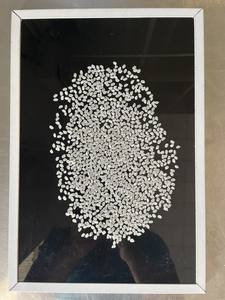 Japonica ข้าวขาวทรงกลมแบบสั้นญี่ปุ่นข้าวซูชิจากเวียดนามผู้ผลิตในเวียดนาม + 84-915355383 - Product Image 3