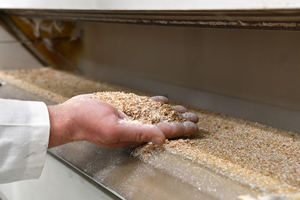 MOLINO BRUNO Harina de Trigo Italiana Tipo 1 Multiusos, Bolsa de 25 kg para Pan, Bollos, Bizcochos, Pasteles, Pasta y Pizza - Product Image 5