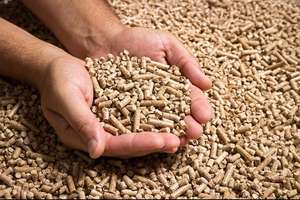 Granulés de bois d'Ukraine de qualité AA, briquettes de 15 kg, combustible de cuisson - Norme A1 - Product Image 2