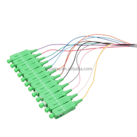 Kabel Patch Jumper Fiber Optik Singlemode SC/APC 12 Core LSZH 0.9mm DAMU Fast Shipping, Panjang Dapat Disesuaikan, Garansi 1 Tahun