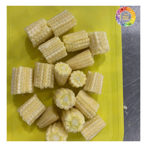 Maíz congelado IQF en la mazorca, maíz blanco y amarillo fresco congelado/al vapor, maíz glutinoso blanco hervido congelado/maíz amarillo - Product Image 2